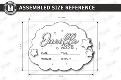 Baby Monthly Milestone Laser cut - Newborn Announcement Sign Product Image 4