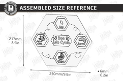 Life Cycle Puzzle Laser Cut | Montessori Toys | Kids Laser Product Image 2