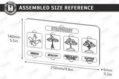 Life Cycle Puzzle Laser Cut Bundle | Educational Toys SVG Product Image 12