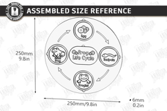 Life Cycle Puzzle Laser Cut | Montessori Toys | Kids Laser Product Image 2