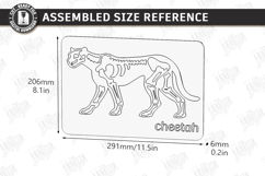 Animal Skeleton Laser Cut Bundle | Anatomy Puzzles | Bones Product Image 15