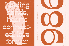 Sizzling Cheesy - Modern Display Unique Serif Product Image 16