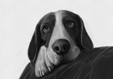 Procreate Sketch Flow Pro Set Product Image 15