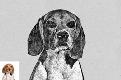 Sketchily Pro Photoshop Action Product Image 7