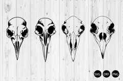 Skulls Birds Head SVG, Bird Skull SVG, Crow Skull SVG Product Image 1