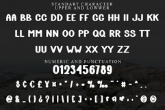 Skydriver Product Image 6