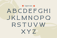 Revaston Product Image 6