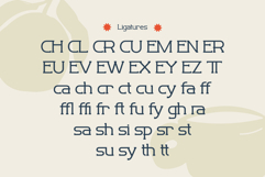 Revaston Product Image 9