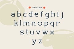 Revaston Product Image 7