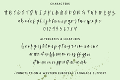 Slainte Signature Font Product Image 10