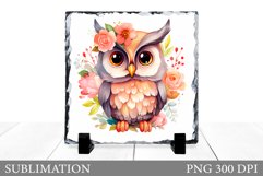 Cute Owl Sublimation. Owl Slate Sublimation Product Image 1