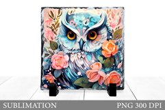 Owl Slate Sublimation. Summer Slate Sublimation Product Image 1