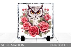 Owl Slate Sublimation. Owl Sublimation Product Image 1