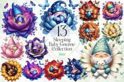 Sleeping Baby Gnome Collection Product Image 1
