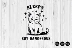 Sleepy but Dangerous SVG, Funny Cat SVG, Funny Sleeping SVG Product Image 1