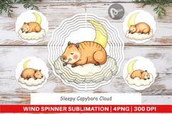 Wind Spinner Sleepy Capybara Cloud Product Image 1