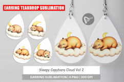 Earring Sleepy Capybara Cloud Product Image 1