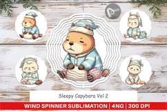 Wind Spinner Sleepy Capybara Product Image 1
