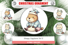 Ornament Sleepy Capybara Product Image 1