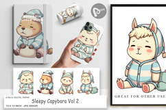 Digital Paper Sleepy Capybara Product Image 1