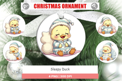 Ornament Sleepy Duck Product Image 1