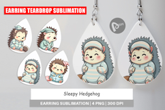Earring Sleepy Hedgehog Product Image 1
