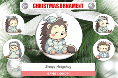 Ornament Sleepy Hedgehog Product Image 1