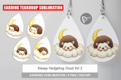 Earring Sleepy Hedgehog Cloud Product Image 1