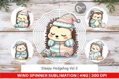 Wind Spinner Sleepy Hedgehog Product Image 1