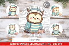 Wind Spinner Sleepy Owl Product Image 1