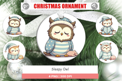 Ornament Sleepy Owl Product Image 1