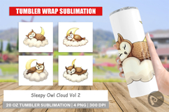 Tumbler Sleepy Owl Cloud Product Image 1