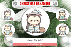 Ornament Sleepy Owl Product Image 1