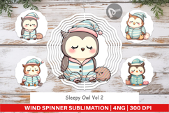 Wind Spinner Sleepy Owl Product Image 1
