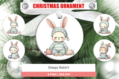 Ornament Sleepy Rabbit Product Image 1