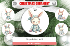 Ornament Sleepy Rabbit Product Image 1