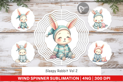 Wind Spinner Sleepy Rabbit Product Image 1