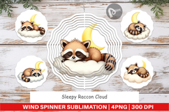 Wind Spinner Sleepy Raccoon Cloud Product Image 1