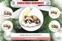 Ornament Sleepy Raccoon Cloud Product Image 1