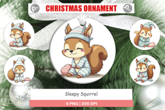 Ornament Sleepy Squirrel Product Image 1
