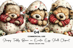 Sleepy Teddy Bear in Easter Egg Shell Clipart Product Image 1