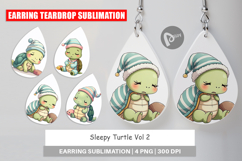 Earring Sleepy Turtle Product Image 1