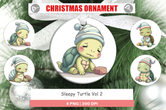 Ornament Sleepy Turtle Product Image 1
