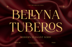 Bellyna Tuberos - Modern Elegant Serif Product Image 1