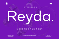 Reyda - Modern Sans Serif Product Image 1