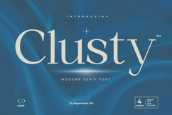 Clusty - Modern Serif Font Product Image 1