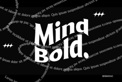 Bendara Product Image 10