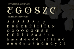 Modern Elegant Serif - Bevola Product Image 10