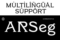 A Modern Luxury Font - Ornely Product Image 10