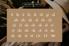 Malgiva - Ligature Serif Font Product Image 10